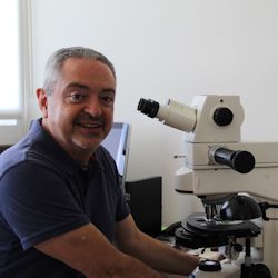 Dr. Juan Bibiano Morales Malacara